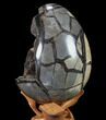 Septarian Dragon Egg Geode - Black Crystals #89675-3